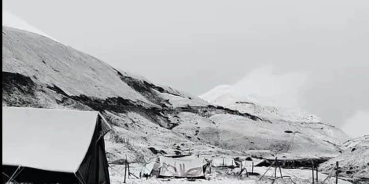 Fresh snowfall blankets Gurez as rain lashes Kashmir