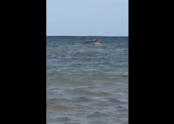 139 migrants, including children, die after boat capsizes off Djibouti