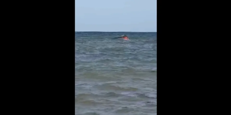 139 migrants, including children, die after boat capsizes off Djibouti
