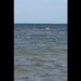 139 migrants, including children, die after boat capsizes off Djibouti