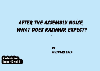 After the Assembly Noise, What Does Kashmir Expect?