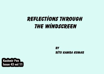 Reflections Through the Windscreen
