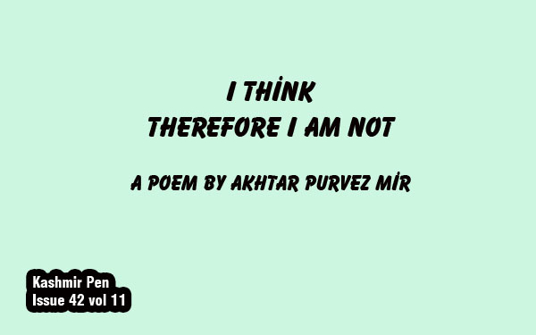 I Think Therefore I Am Not